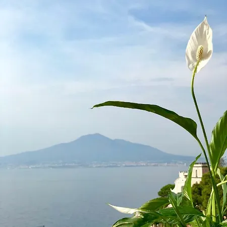 Penzion Paradiso - Luxury Vico Equense
